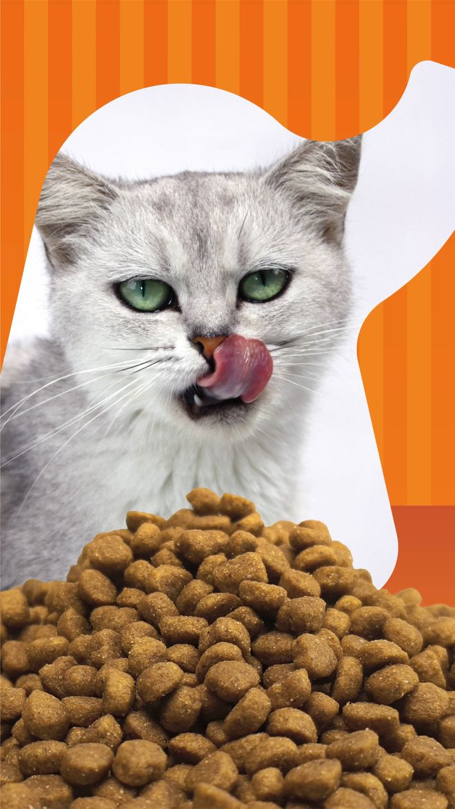 品 零食界的“黑科技”宠物冻干CQ9电子最新网站象乡宠物食(图1)