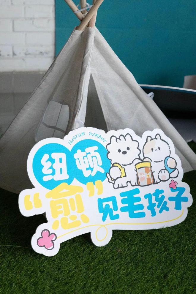 !来杨浦体验一场“五感艺术展”CQ9电子平台免费进场无需预约(图3) !来杨浦体验一场“五感艺术展”CQ9电子平台免费进场无需预约(图3)