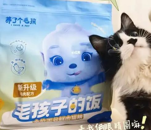 口粮！三只松鼠靠什么重返宠物食品赛道CQ9电子登录注册零食巨头盯上毛孩子