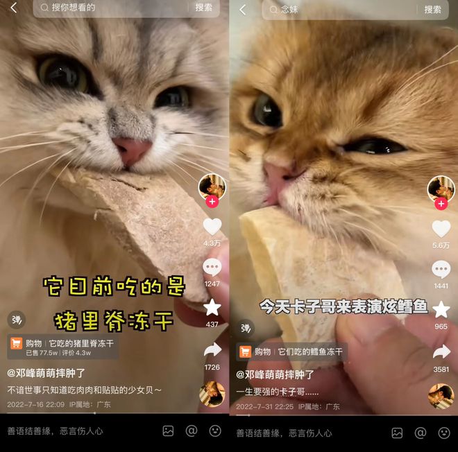 Top3这条千亿赛道杀出一匹黑马CQ9传奇电子年销2亿抖音类目(图7)